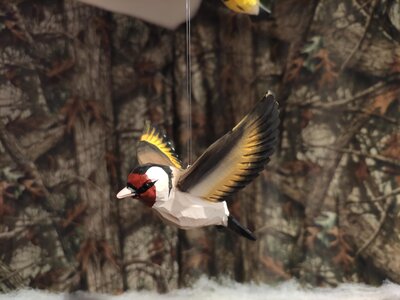 Prosinec 2025 - Regionální muzeum