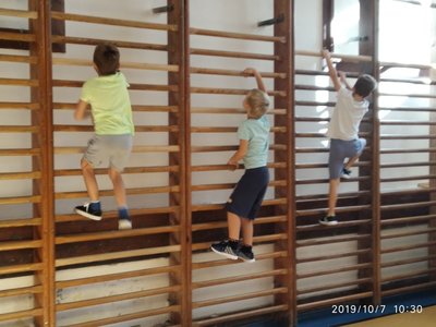 sportujeme