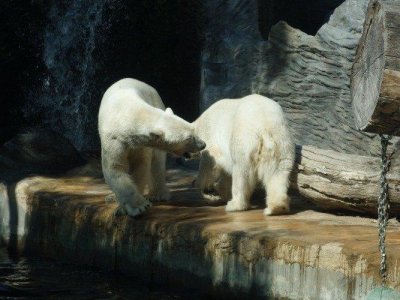 Den Dětí ZOO Praha 1. 6. 2022