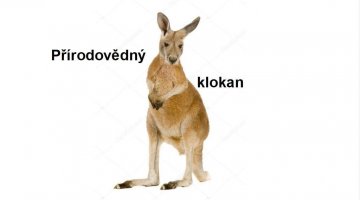 Přírodovědný klokan