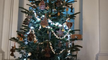 Vánoce a advent na Seifertce