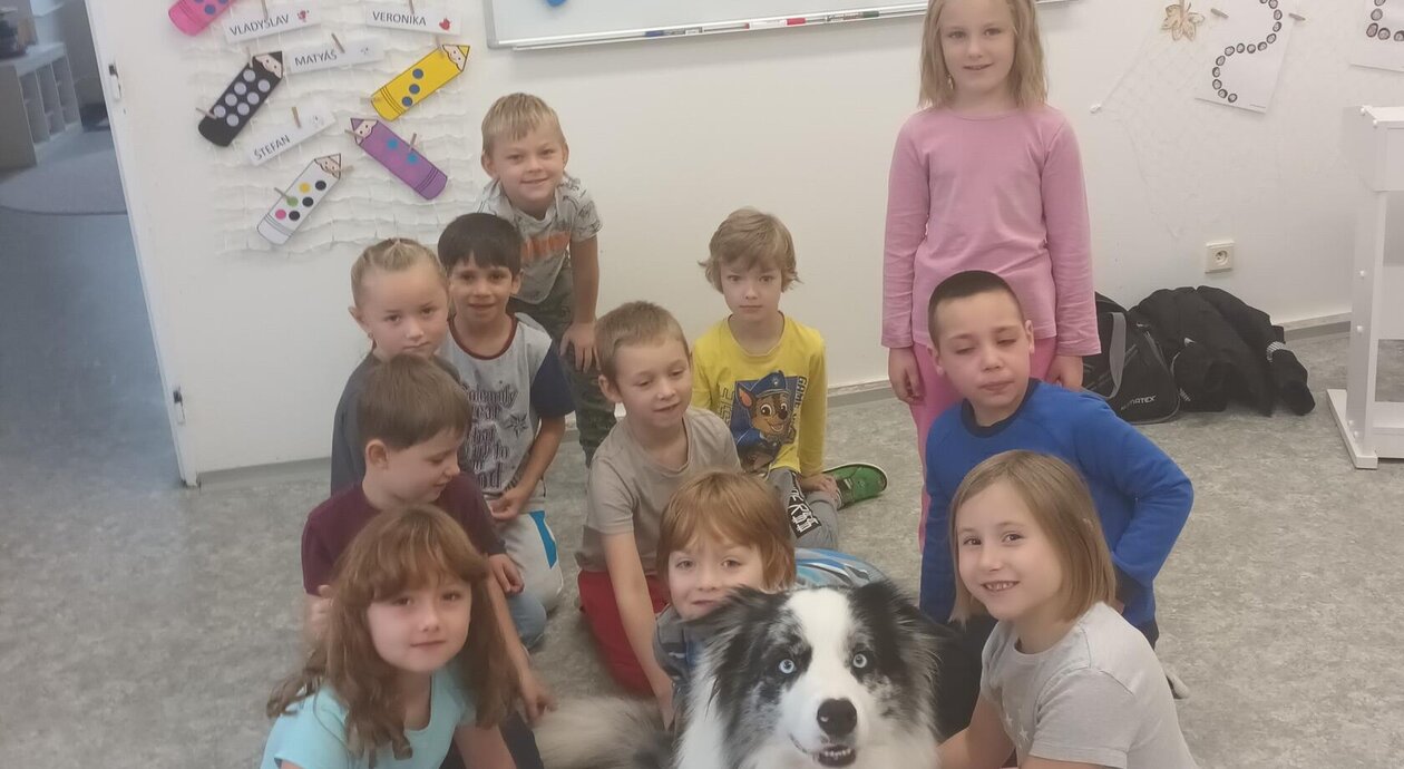 Beseda a Městskou policií - ,, Chováme se dobře k pejskům"