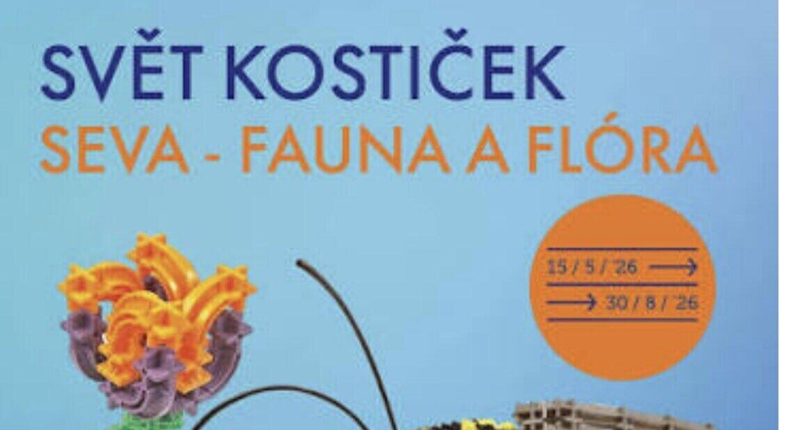 Svět kostiček